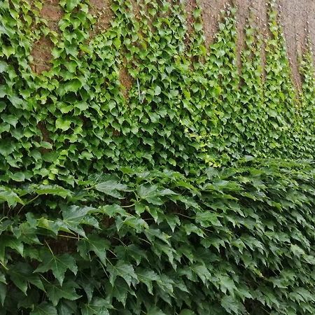 La Belle Vigne Appartamento Namur Esterno foto