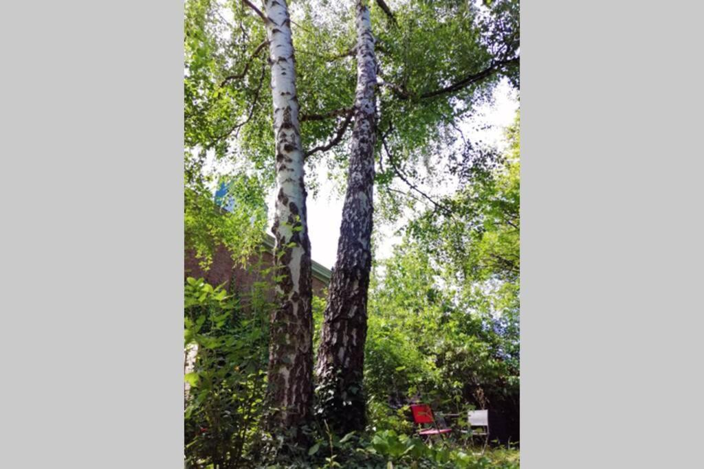 La Belle Vigne Appartamento Namur Esterno foto