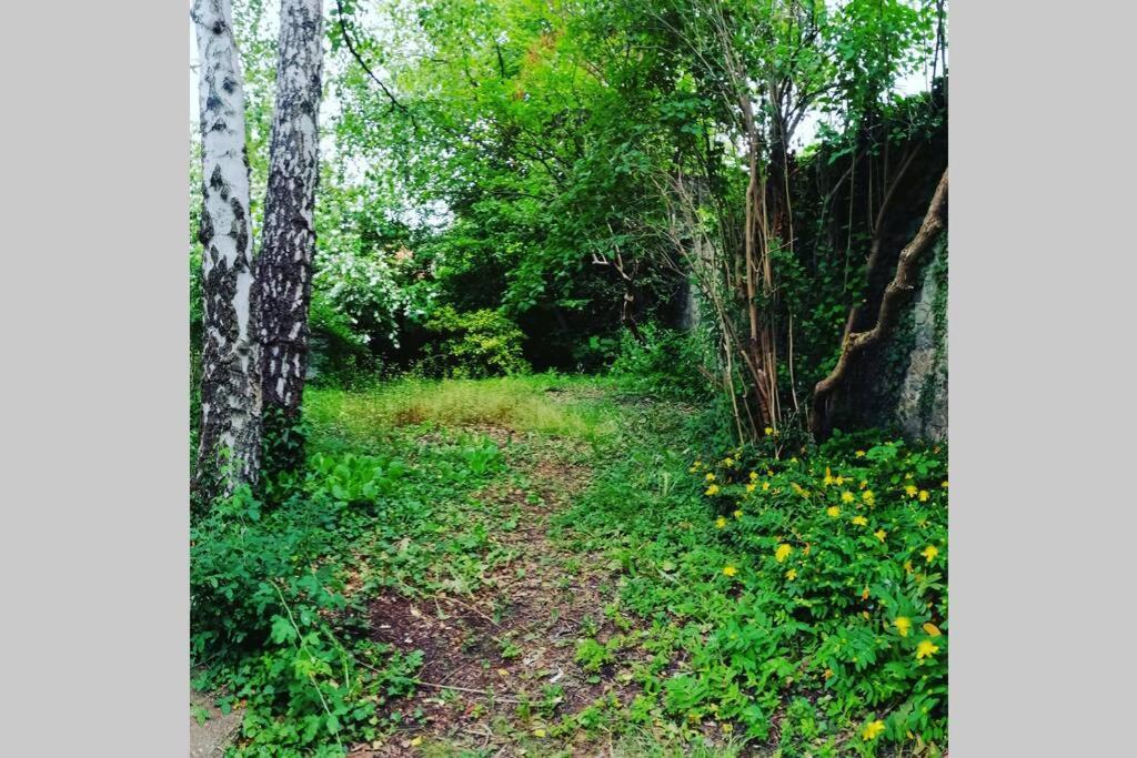 La Belle Vigne Appartamento Namur Esterno foto