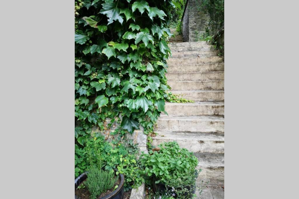 La Belle Vigne Appartamento Namur Esterno foto
