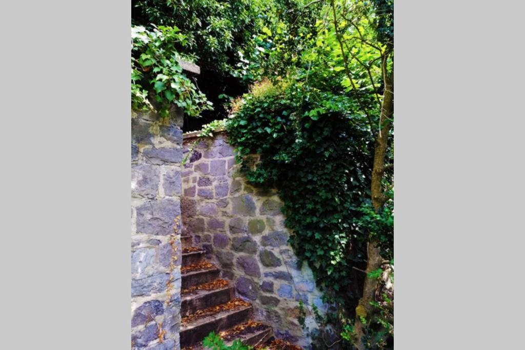 La Belle Vigne Appartamento Namur Esterno foto