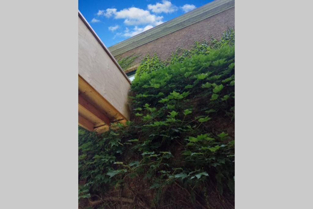 La Belle Vigne Appartamento Namur Esterno foto