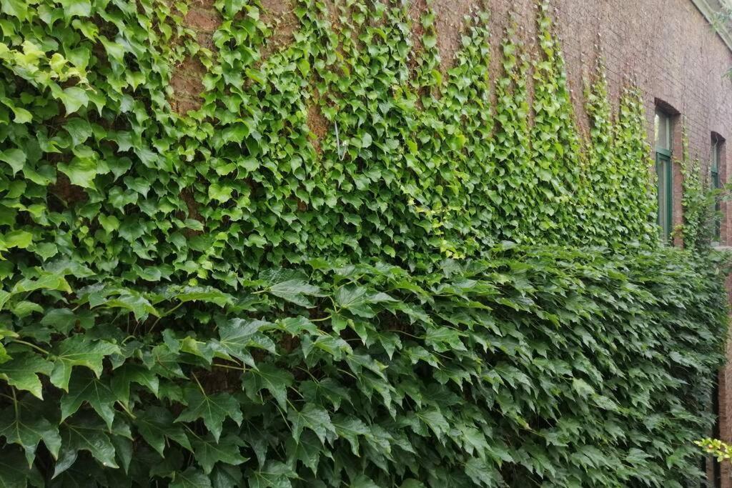 La Belle Vigne Appartamento Namur Esterno foto
