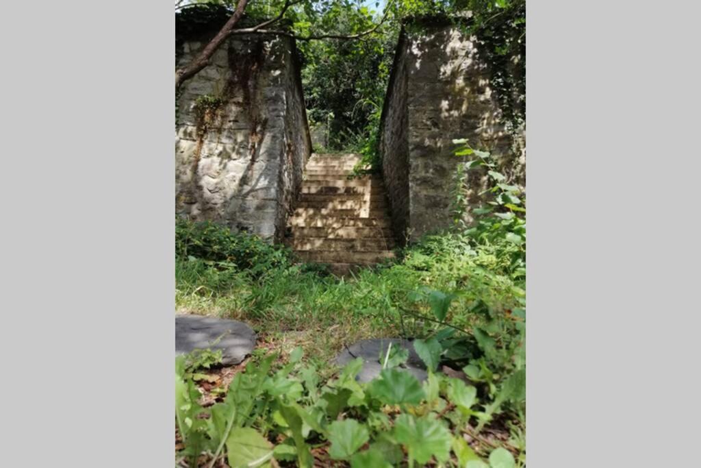 La Belle Vigne Appartamento Namur Esterno foto